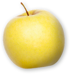 Apfel