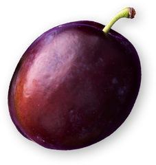 Bilderslider Overlay 1
