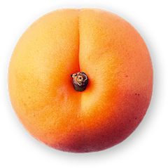 Bilderslider Overlay 2