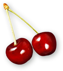 Bilderslider Overlay 2